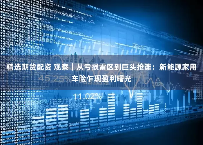 精选期货配资 观察｜从亏损雷区到巨头抢滩：新能源家用车险乍现盈利曙光